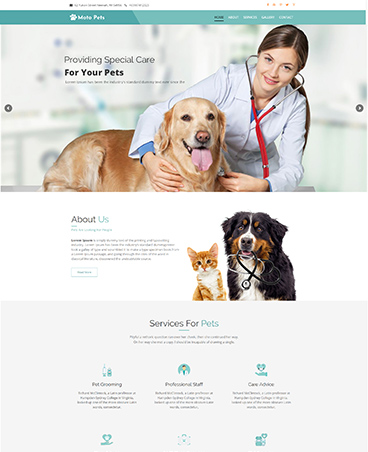 web-agency-recent01